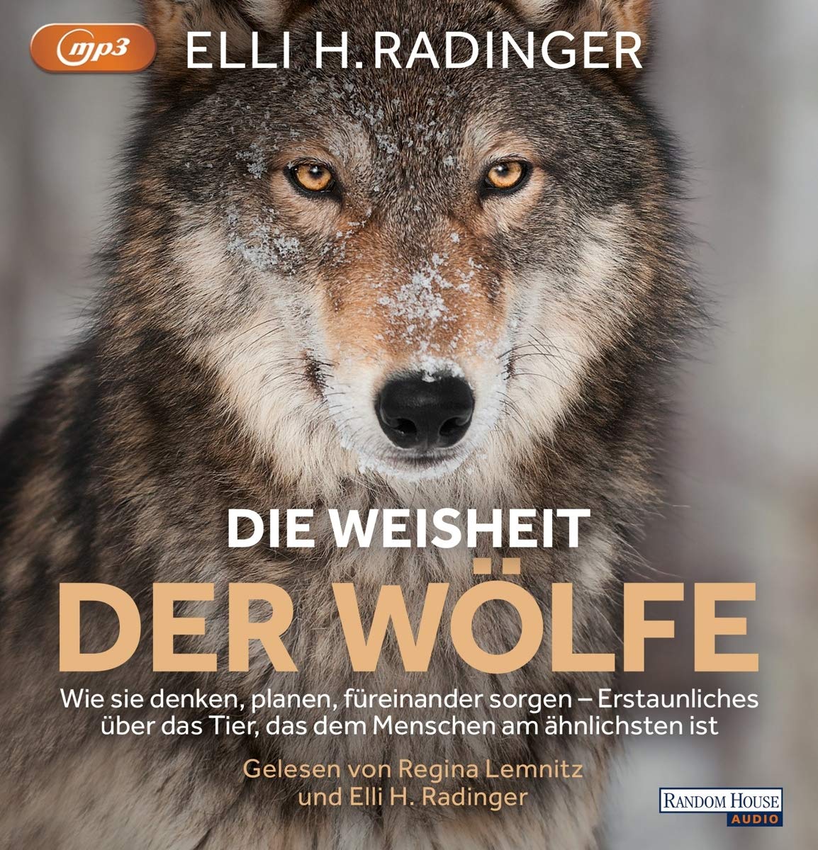 Die Weisheit der Wölfe | Mediennerd.de