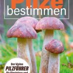 Pilze bestimmen - Der kleine Pilzführer für Einsteiger und Fortgeschrittene