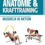 Anatomie & Krafttraining: Muskeln in Aktion