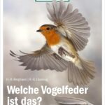 Das will ich wissen! Welche Vogelfeder ist das?