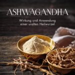 Ashwagandha: Wirkung und Anwendung einer uralten Heilwurzel