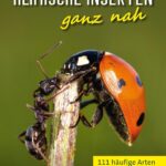 Heimische Insekten ganz nah